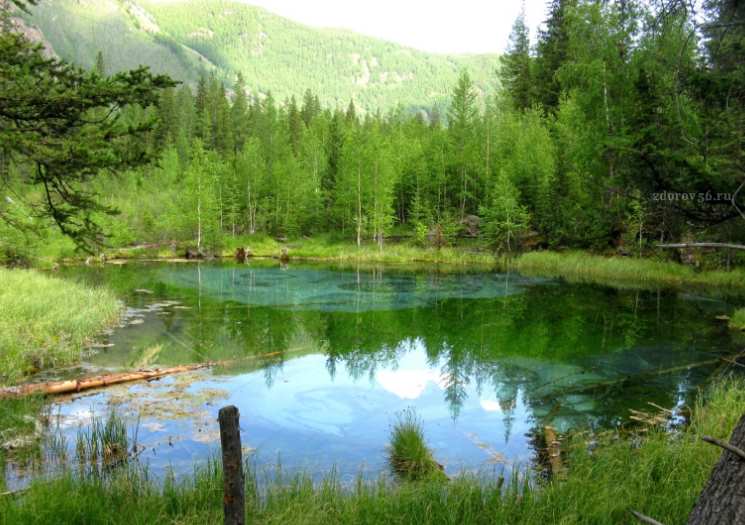 lac-secret-1